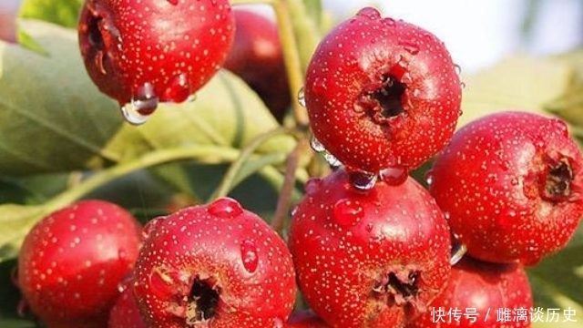 食物|“高血压”患者的福音,这4种食物每天换着吃,血压或会一降再降