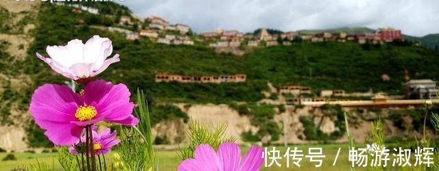 经典&佛家六大经典禅语,体悟智慧与慈悲!