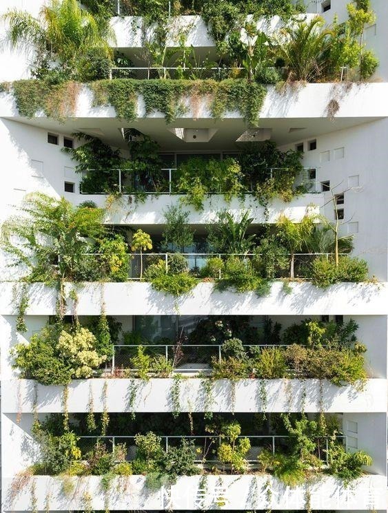 住房|成都第四代住房走红，30层高楼长满树木，每位业主都有私人庭院！