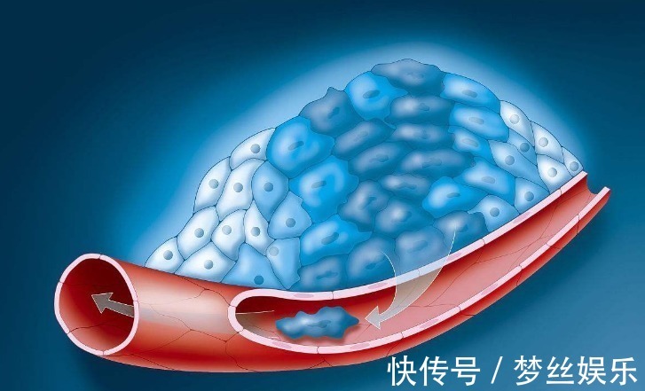 山药|红薯、山药靠边站，它才是地下宝物！百岁老人都在用的长寿秘方！