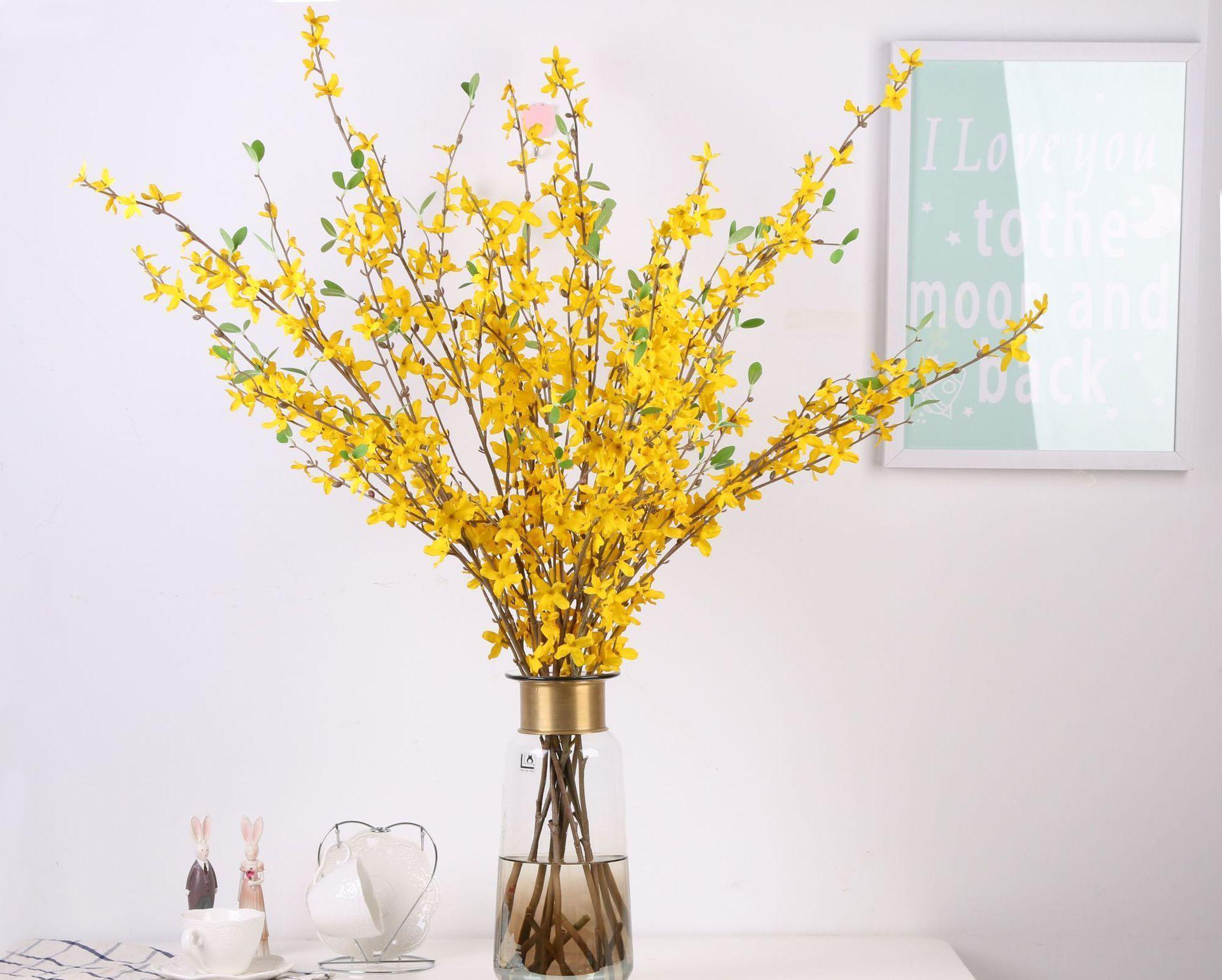 迎春花什么时候换盆合适？3个换盆知识点，换盆过程需要注意