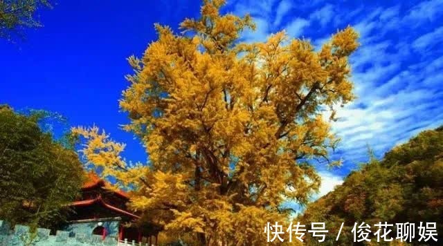 古观音禅寺|为什么说，“仕宦当作执金吾，娶妻当得阴丽华”？