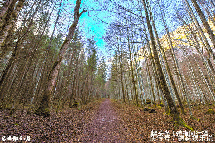 德国|德国“神秘冰洞”，藏在阿尔卑斯山腹地，“美如仙境”却鲜有人知