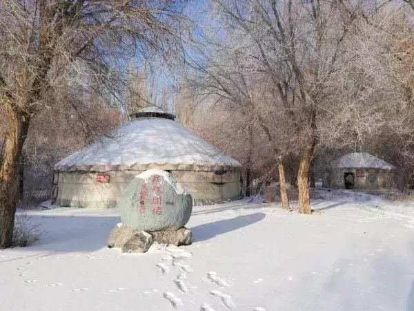  区税务局驻|大雪节气，想和你一起去看雪！一起，慢慢白了头~