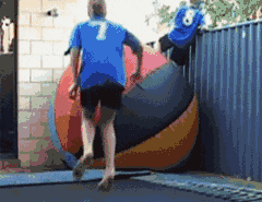 |搞笑GIF：大金毛估计是湖南的，四川重庆吃红辣椒，湖南就爱青椒