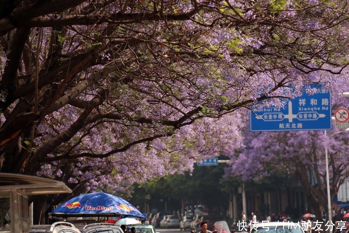 中年|春天最适合小住三五天的12个地方，错过这些美景，又要等一年