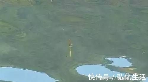 大家伙|野钓发现3种信号,说明“大家伙”来了,万万不要胡乱提竿