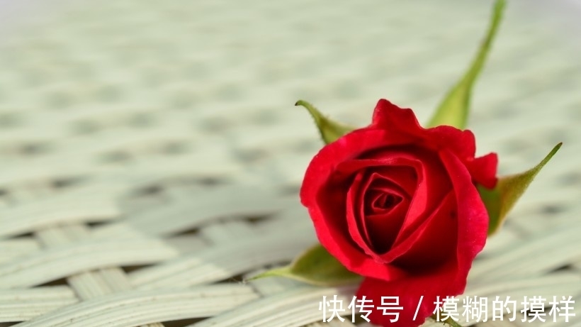 桃花似锦|1周后，桃花似锦，旧爱回首，冰释前嫌，痴情不改，破镜重圆