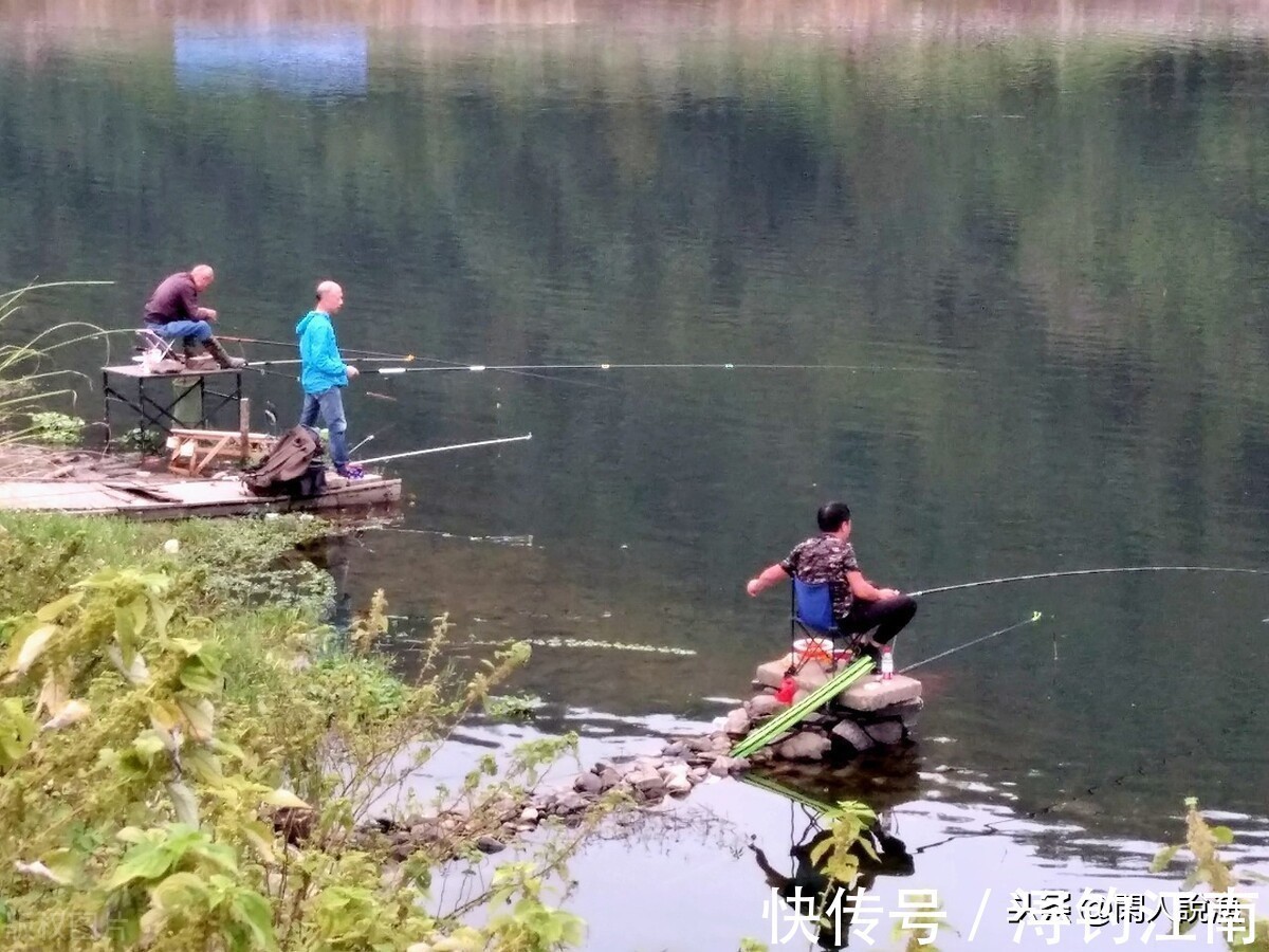 钓鱼|钓鱼时容易被忽视的问题:“狂抽正嗨时突然停口”,是何缘由?