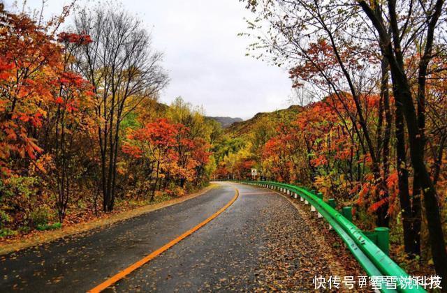 沿盘山公路入峡谷湖畔 “颜值逆天”绝美秋色就藏在这里