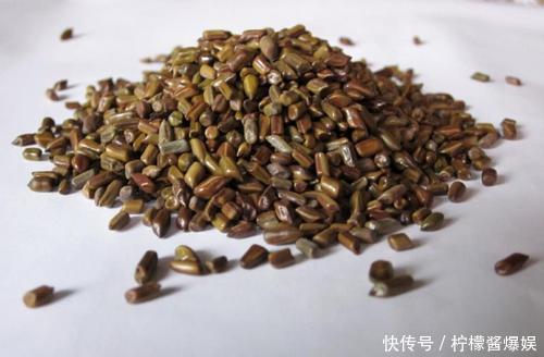 失眠|长寿老人的食谱已公布,改善失眠,益智补