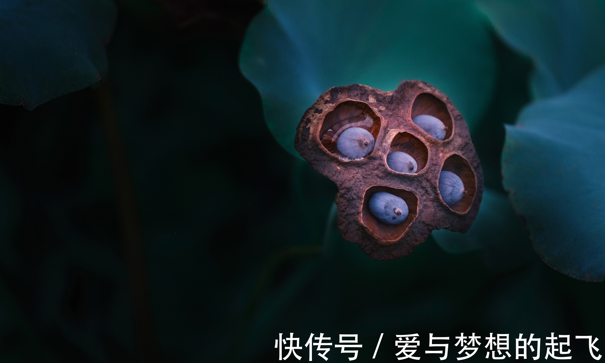 应聘者#好家风“贵”在“四”个字!