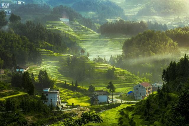 芳卿！18首庭院诗词:独坐绿荫亭阁里，静思凝视美人蕉