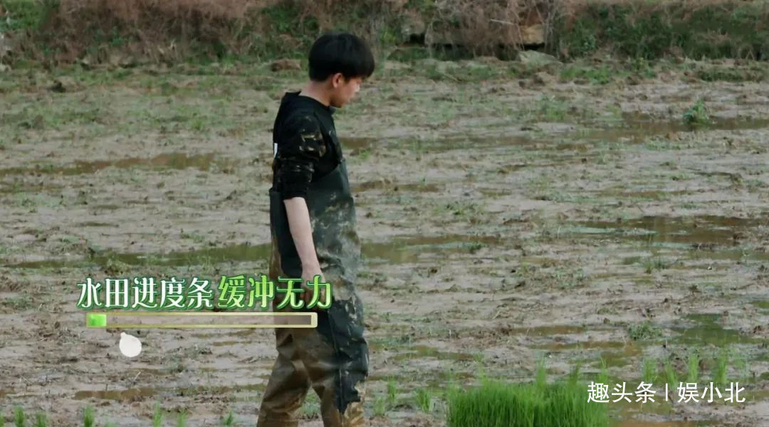 蘑菇|嘉宾重复请、广告太频繁、农活总干不完,被《向往4》劝退