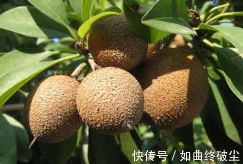 排出体外|口香糖不小心吃进肚子,会粘住肠子吗?看看专家的解释