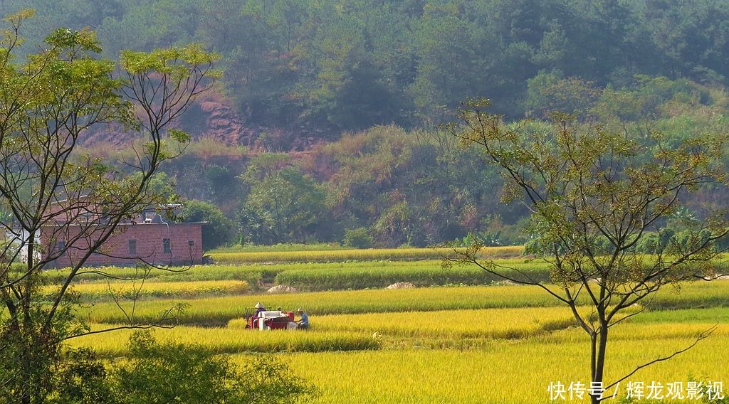 不太|你会经常出去旅游吗