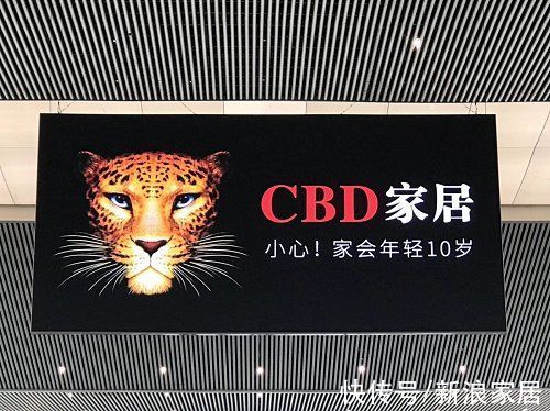 上市|视线｜上市失败，对CBD家居意味着什么？