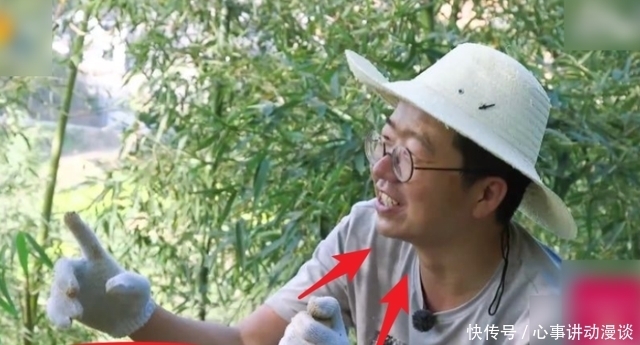 乔杉|《向往5》最懒嘉宾再度回归了,一来还是两个,黄磊却乐开花了