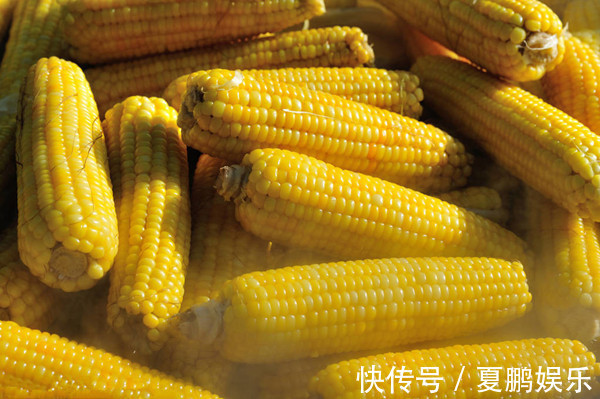 香菜|热水煮一宝,少往医院跑!老中医说了几个小妙方,煮煮就能搞定!