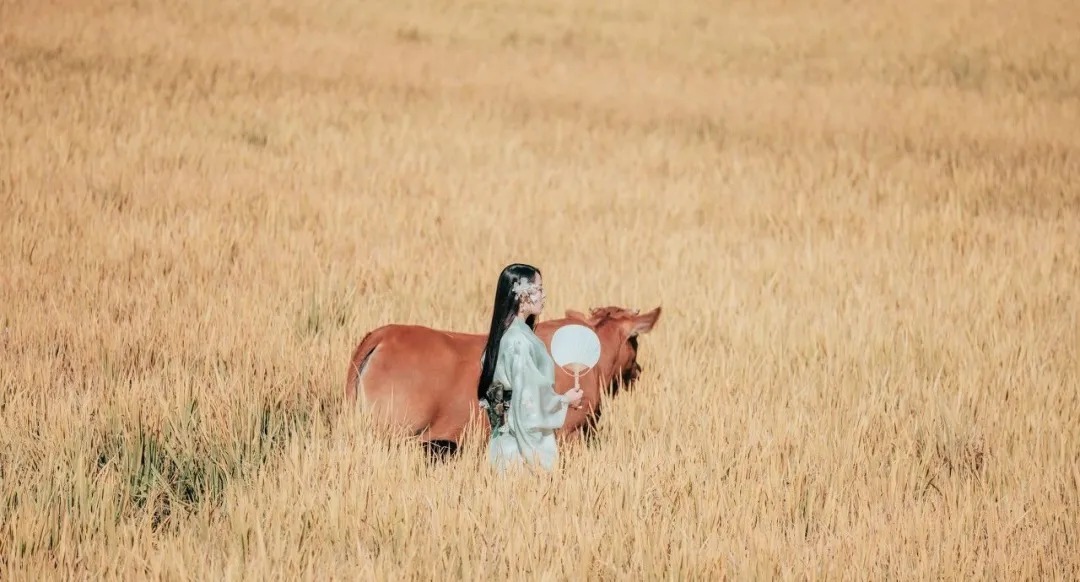 孙叔敖@人生大智慧:笑着后退(深度好文)