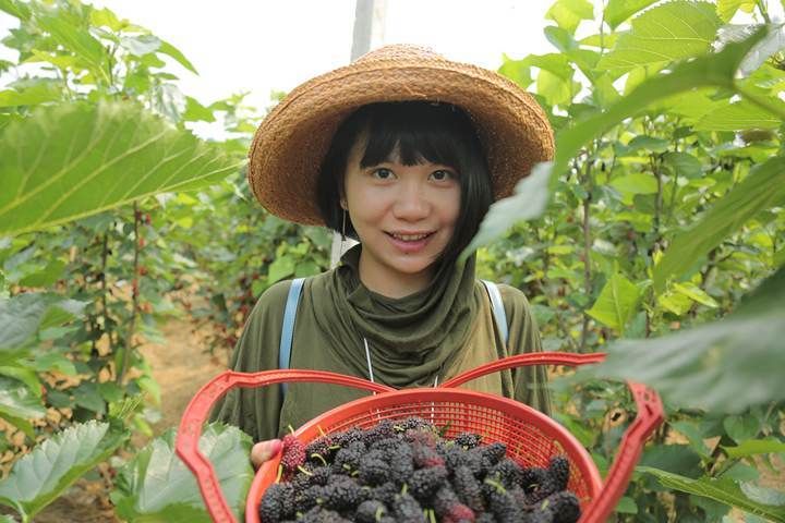 小菜园|居家养鸡、阳台种菜，90后女孩将虚拟场景搬入现实生活