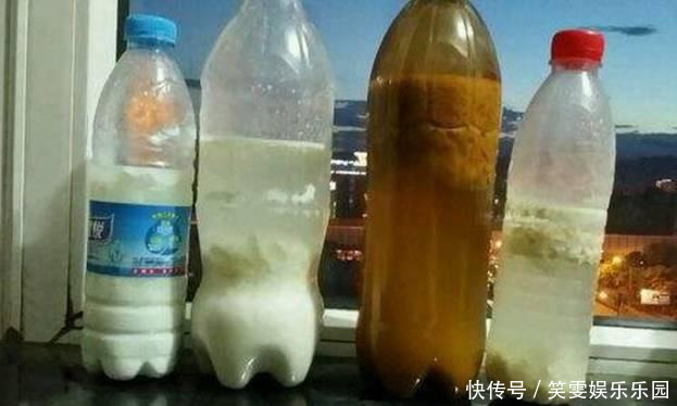 养花技巧:醋、橘子皮、小苏打用来养花,好处多!