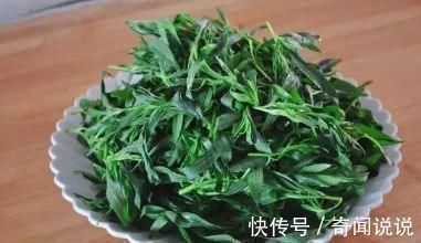 扫帚菜|千真万确:越吃眼睛越明亮的一道菜,远离老花眼,营养解馋,给肉都不换