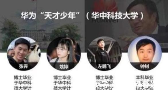 公务员|被华为选中的天才少年,年薪都是百万起步,清北无一人入围