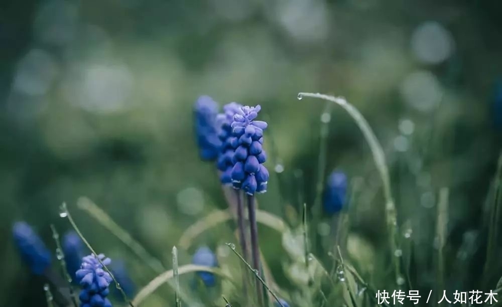 万物|立春丨听一曲古琴演奏《春风》万物知春,和风淡荡