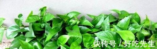 这种食品过期了别丢，给绿萝、吊兰“吃”，10年不黄叶！