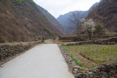 寻访秦岭大沟，石墙后出现一间房子，房子孤零零的，但大门却开着