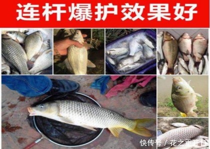 热天钓鱼开饵时用上这5招,不是跟你吹,大鱼看见就狂咬,半天就爆护!