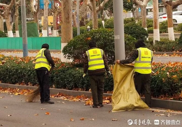 济南寒潮大风，落叶漫天飞舞，环卫工忙清扫