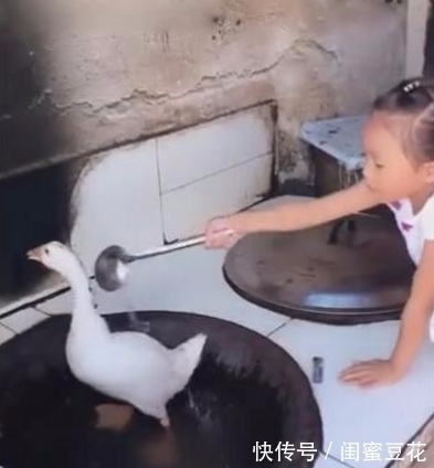 小棉袄|小女孩烧鹅煮饭给父亲吃,父亲听后很感动,揭开锅盖后却傻了眼