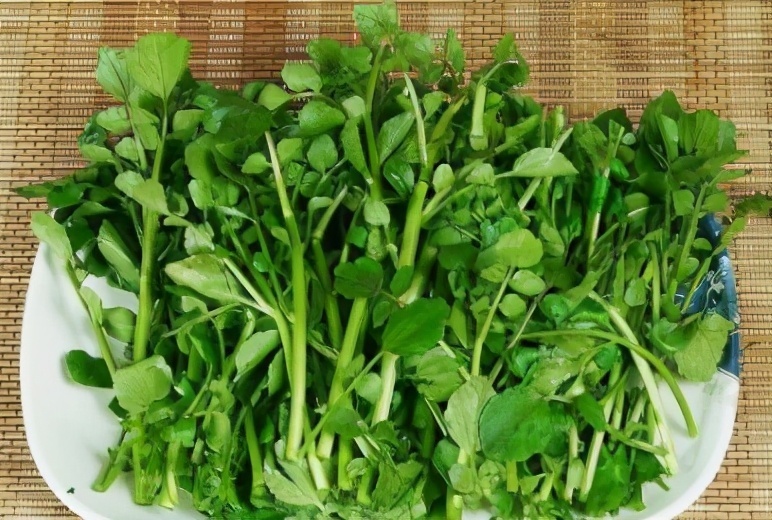 不妨一试|女性不想提前衰老,坚持常吃三种食物,净化血液,不妨一试