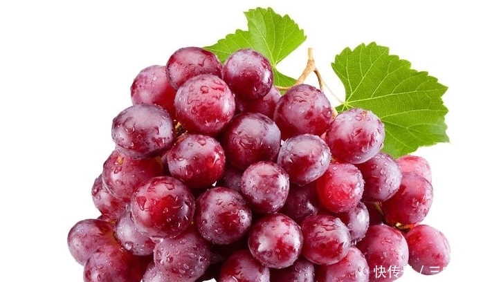  葡萄|种植优质葡萄的四项条件，轻松易掌握，收获好看又好吃的葡萄来！