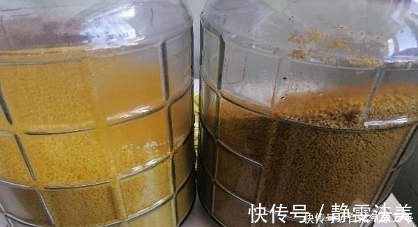 果糖|都说酒米钓鱼好用,但学会搭配以后,这3种选择会上鱼更多