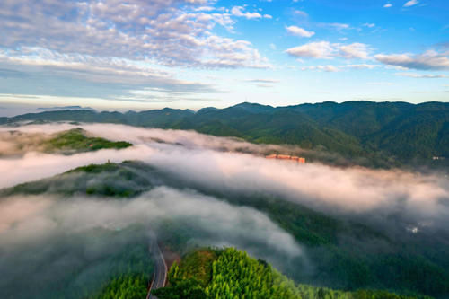 六盘水有处“绿海”景区，内部设有自然迷宫，碾压春日桃林景观