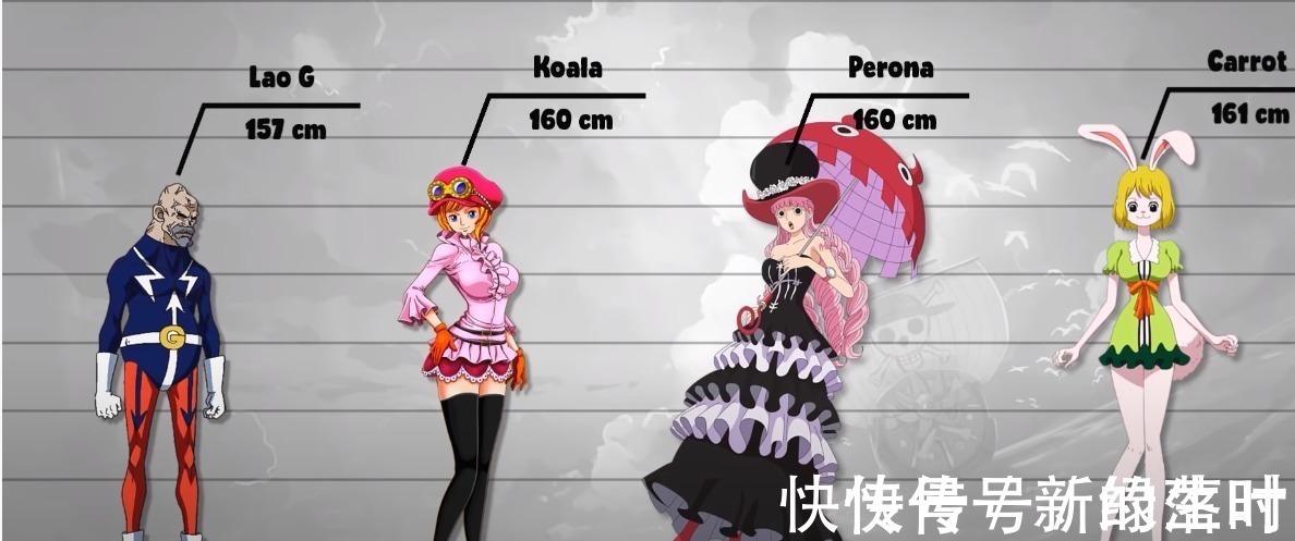 海贼团|海贼王人物资料公示1乔巴已经很可爱了,竟然还有mini公主