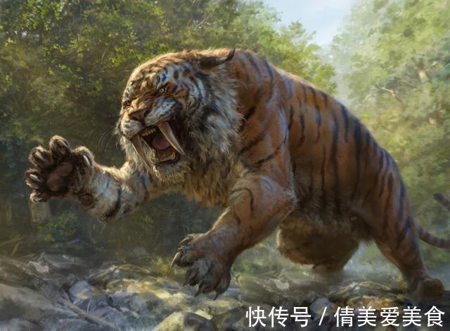 老虎&神农架相传出现过“过山黄”,体型在老虎之上,以山间百兽为食