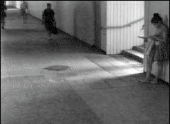 |搞笑GIF:好奇害死猫啊,而且还容易招打,哈哈哈