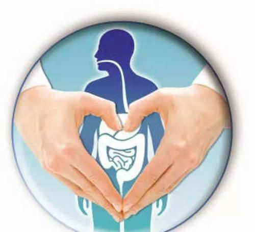 一饿就感觉心慌、手抖、无力?也许是它在“使坏”,切莫不以为然