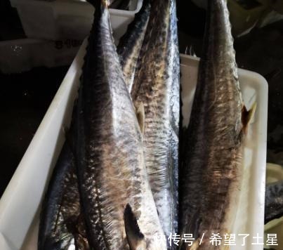 红娘鱼|买鱼时,聪明人专挑这3种鱼,肉质鲜嫩营养高,目前无法人工养殖!