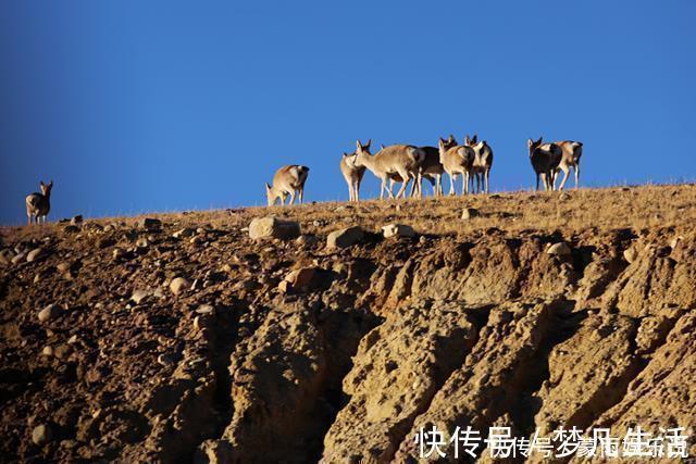 雪山|中尼边境发现2个世外农村，一个在8k米雪山下，一个在佩枯措边