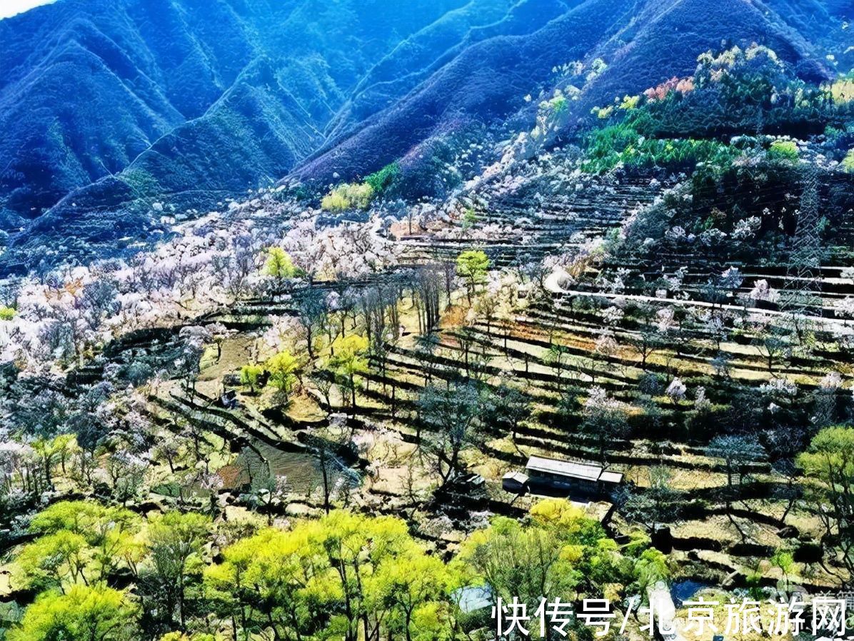 十渡|春已至，花绽放！这份房山赏花攻略请查收！