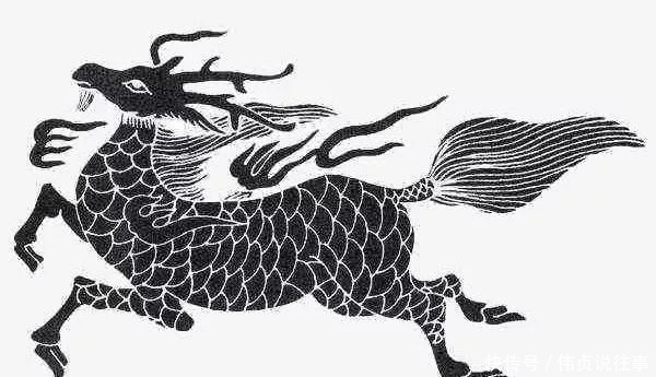 麒麟|麒麟,究竟是什么动物?