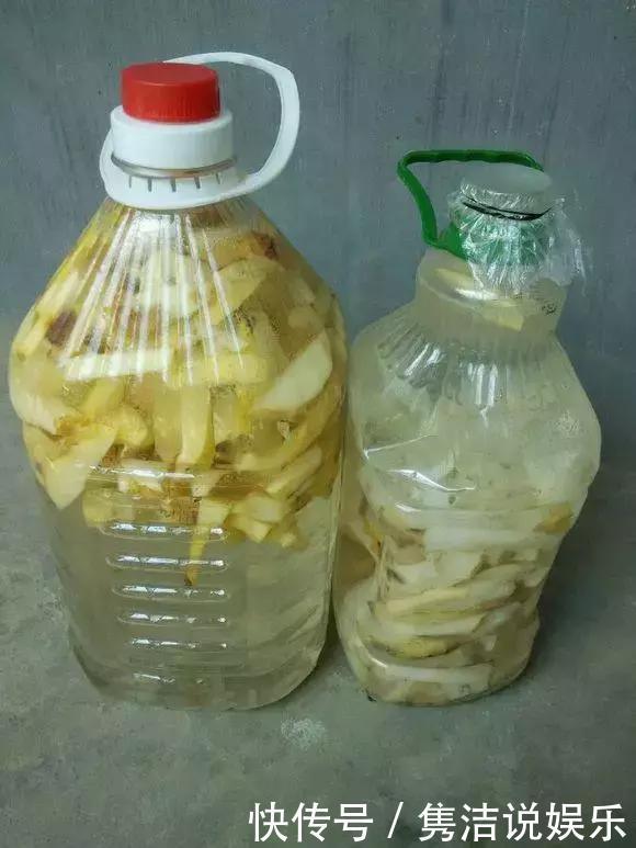 盆土板结抠不动,3种“松土剂”倒进去,松软如“发糕”!