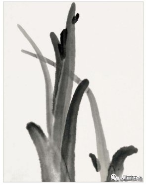 教程@图文教程——芭蕉画法