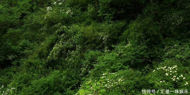 本事|佛法众人中,真正有本事的人,一般有两大特点