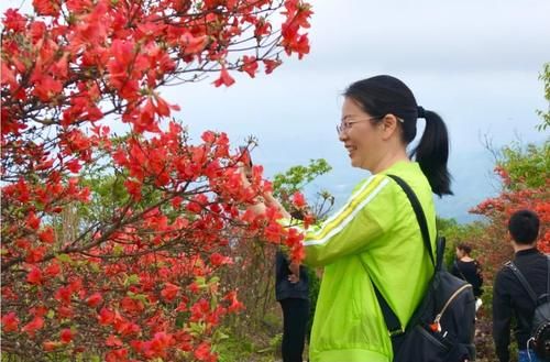 八百里传来！千亩花海霸占丽水山头，美得不像话